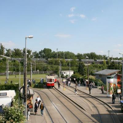 Img 2519
