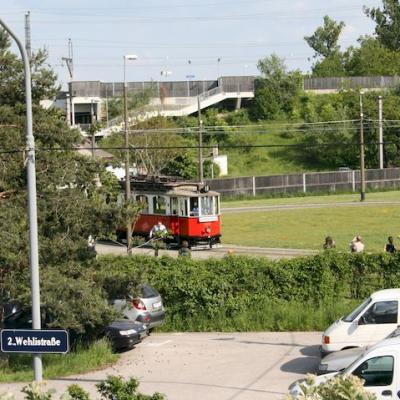 Img 2536