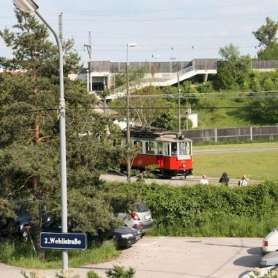 Img 2538