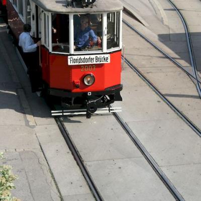 Img 2561