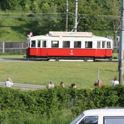 Img 2651