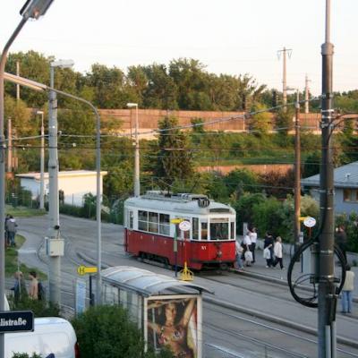 Img 2865
