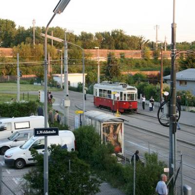 Img 2866